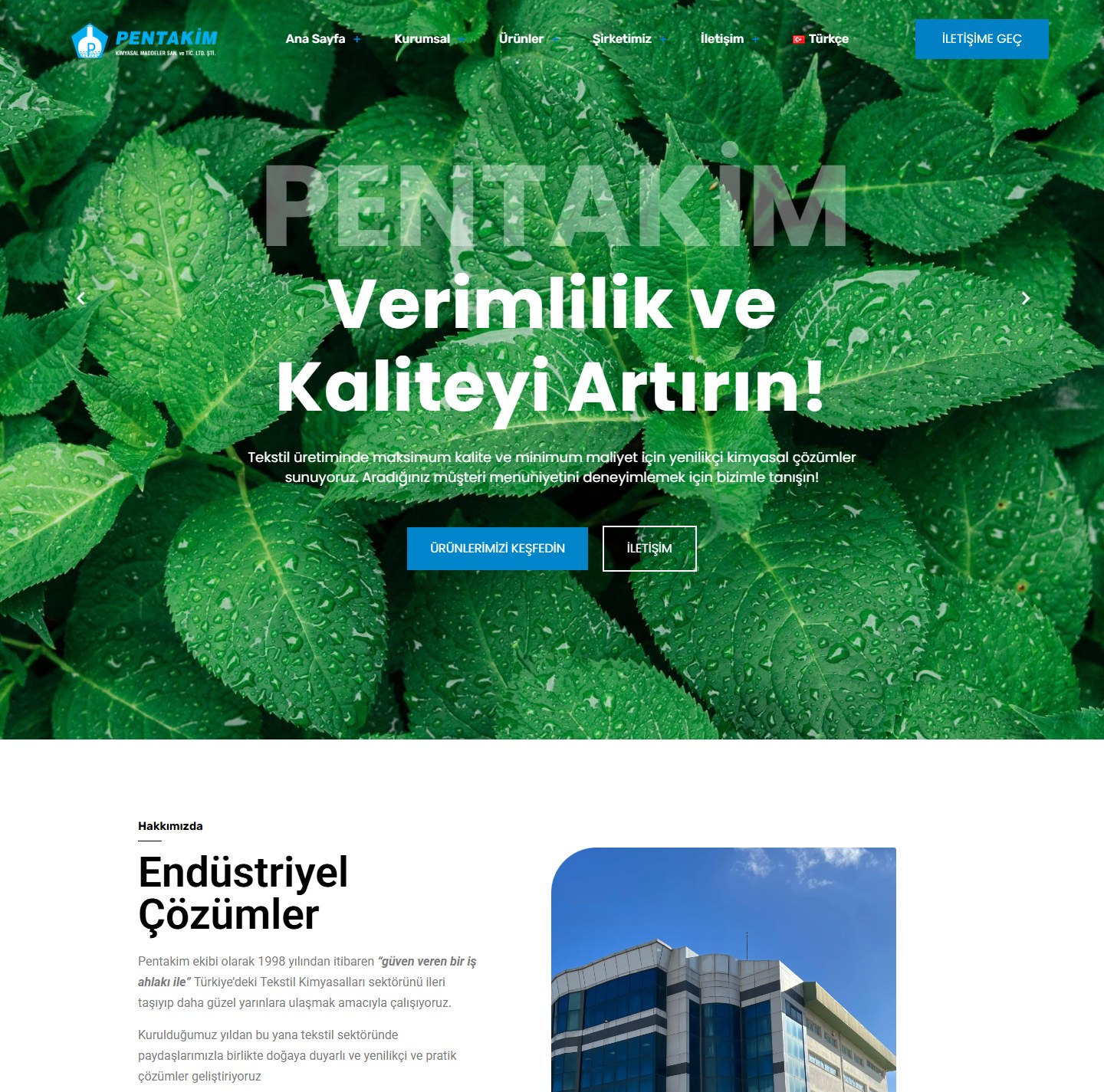 Pentakim web sitesi ekran görüntüsü